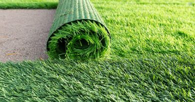 Things to Know About Artificial Grass