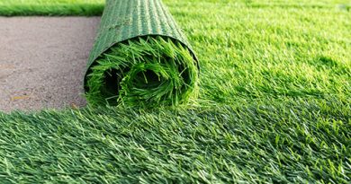 Things to Know About Artificial Grass