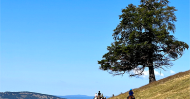 Exploring The Difference Between "Mindful" And "Mindfulness"