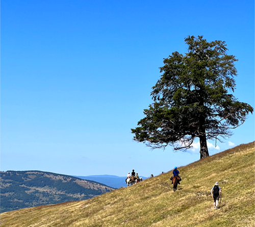 Exploring The Difference Between "Mindful" And "Mindfulness"