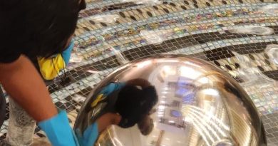 The Role Of A Commercial Cleaning Company In Facility Management